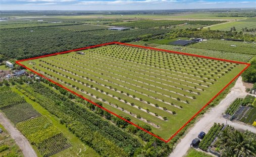Land in Homestead, Florida, Vereinigte Staaten 1