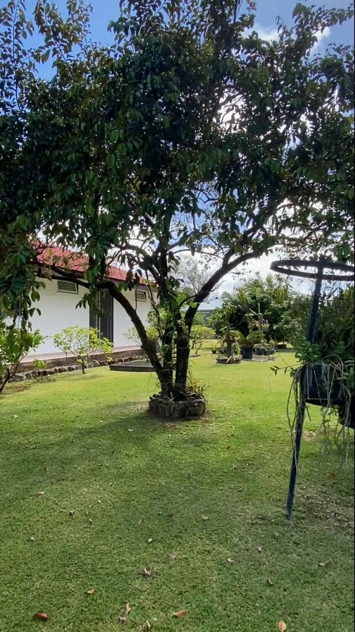 Villa in Huahine, Leeward Islands, French Polynesia 5 - 18323619
