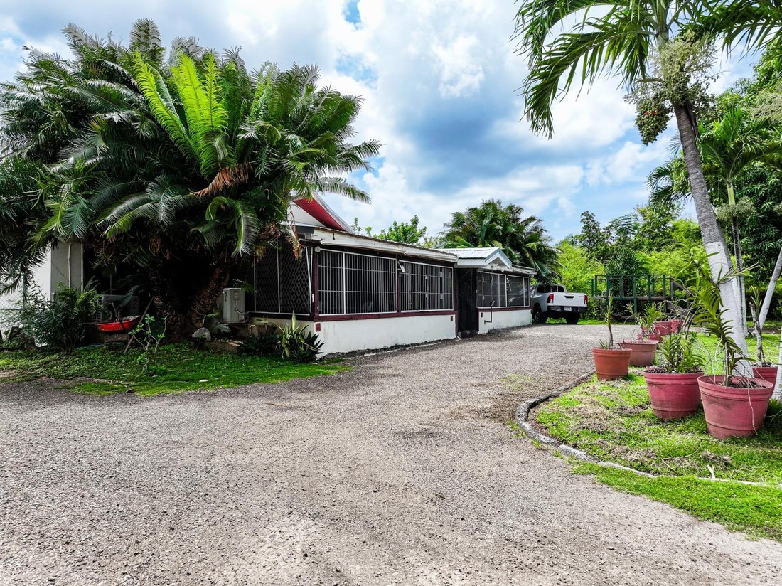 Apartment in Clarendon, Clarendon, Jamaica 4 - 18323899