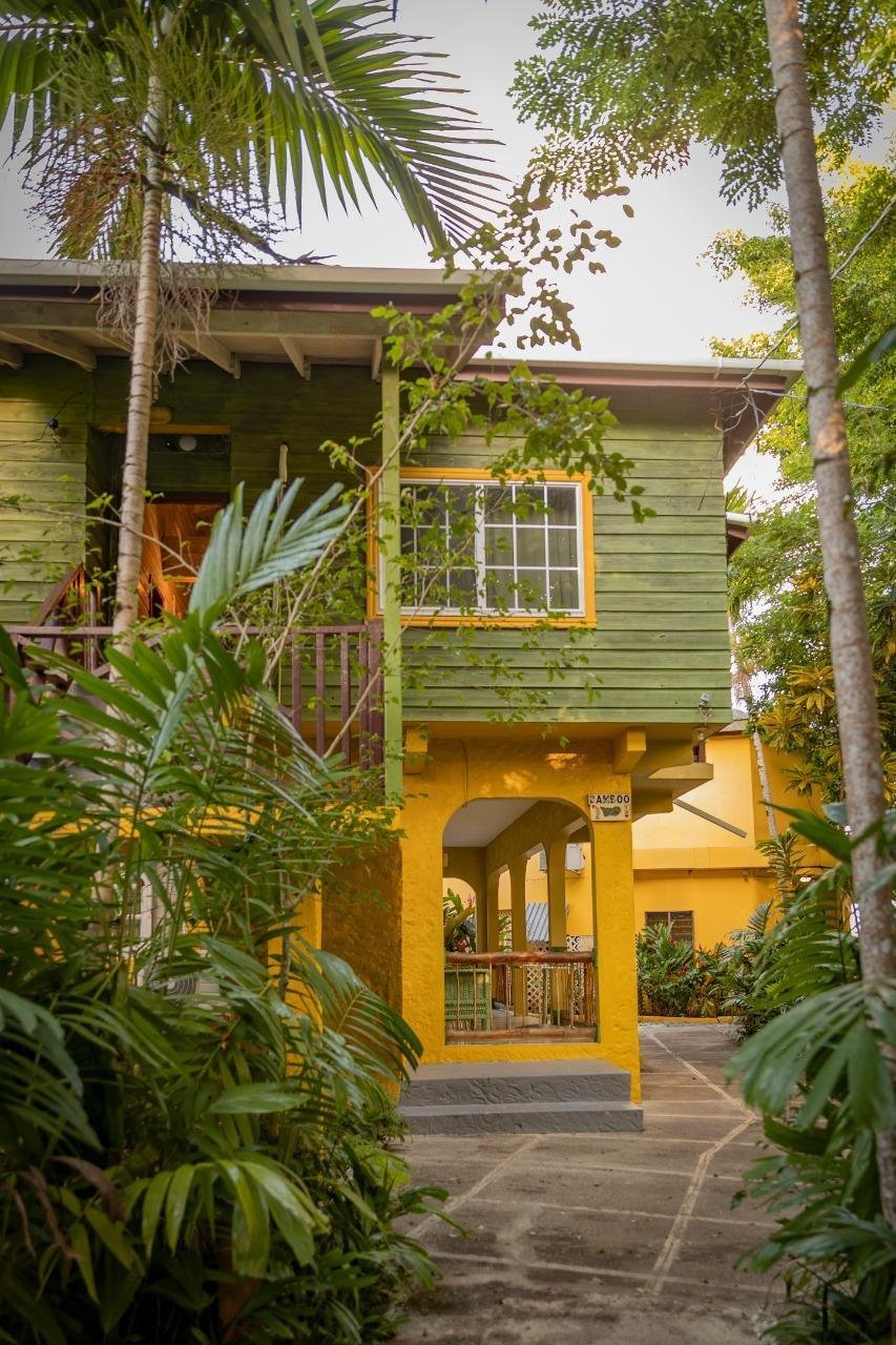 Apartment in Portland, Portland Parish, Jamaica 4 - 18323880