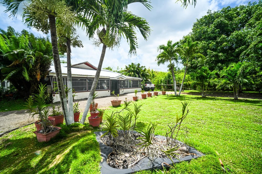 Apartment in Clarendon, Clarendon, Jamaica 5 - 18323899