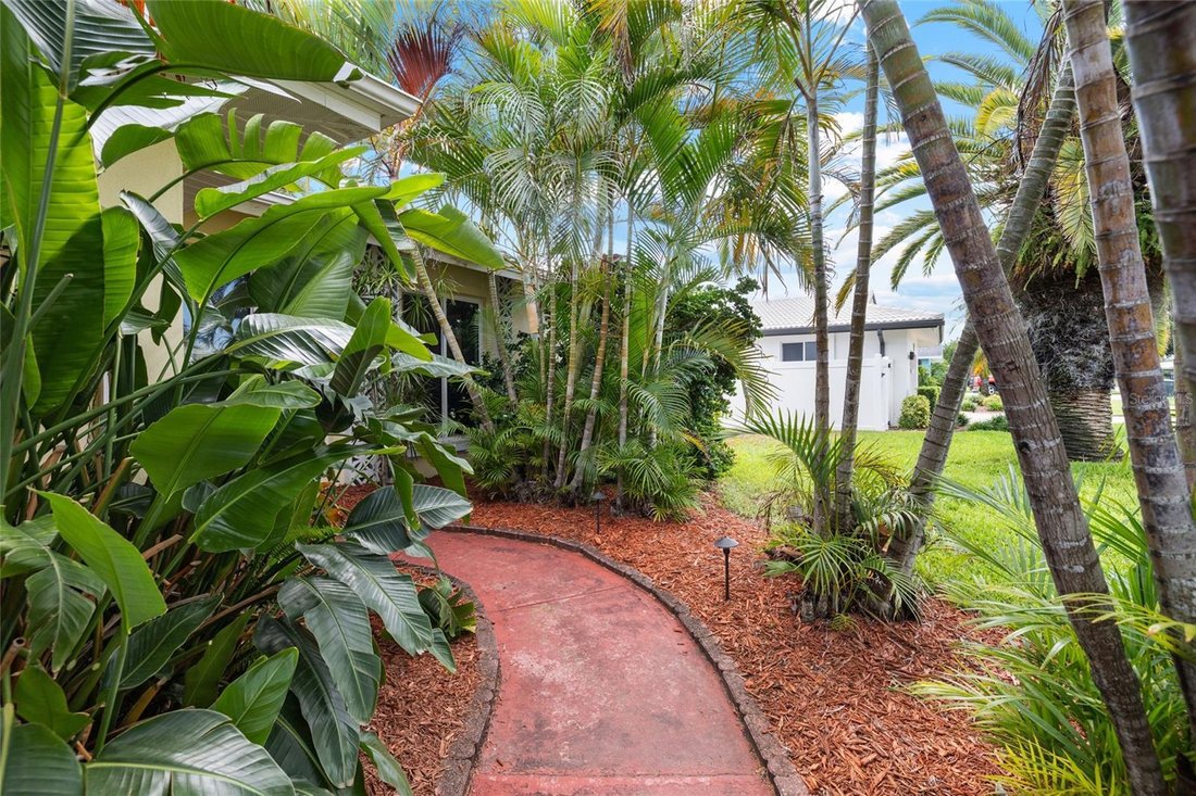 House in Dunedin, Florida, United States 4 - 18324344
