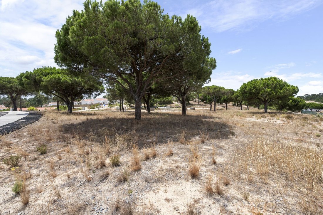 Carvalhal, Setubal, Portugal 3 - 18325363