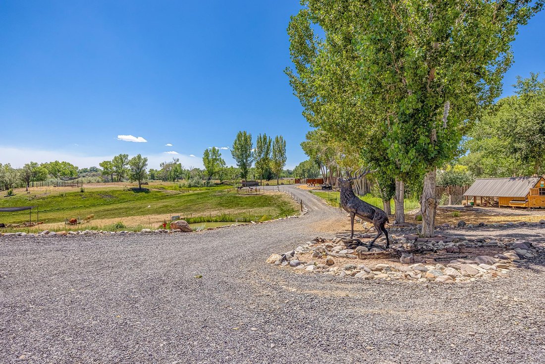 House in Delta, Colorado, United States 4 - 18324065