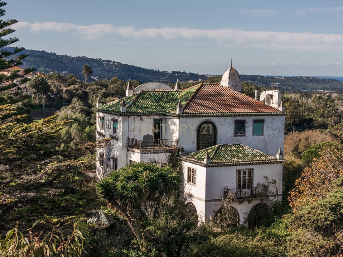 Farm Ranch in Sintra, Lisbon, Portugal 3 - 18325199