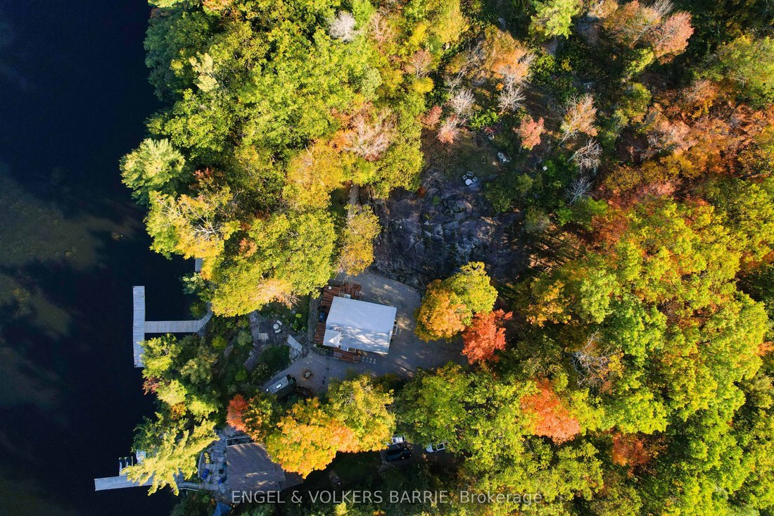 House in Muskoka Lakes, Ontario, Canada 4 - 18325141