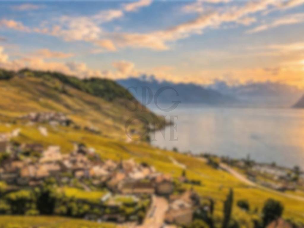 Villa in Corseaux, Vaud, Switzerland 4 - 18325712