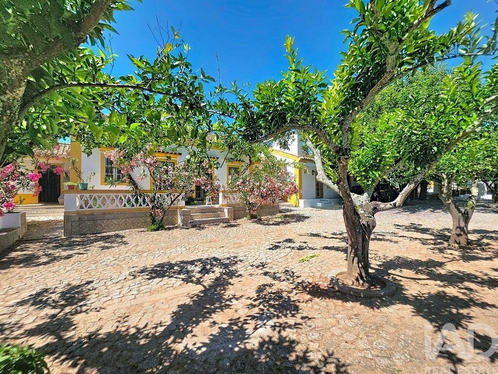 Farm Ranch in Assuncao, Ajuda, Salvador e Santo Ildefonso, Portalegre District, Portugal 2 - 18326321