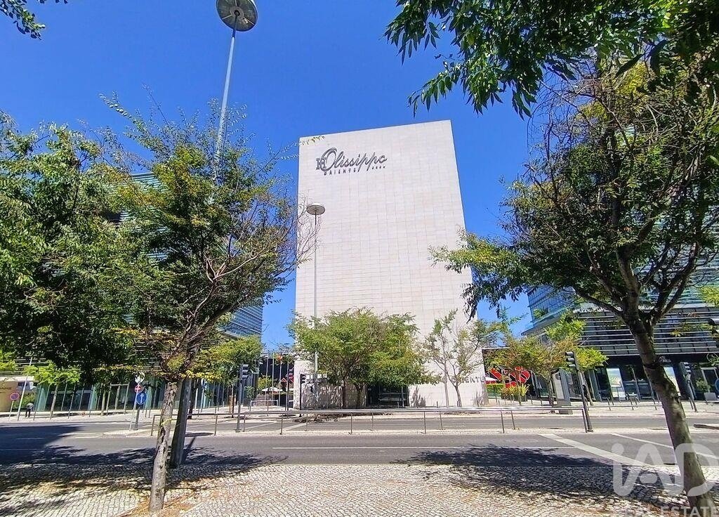 Apartment in Olivais, Lisbon, Portugal 5 - 18325938