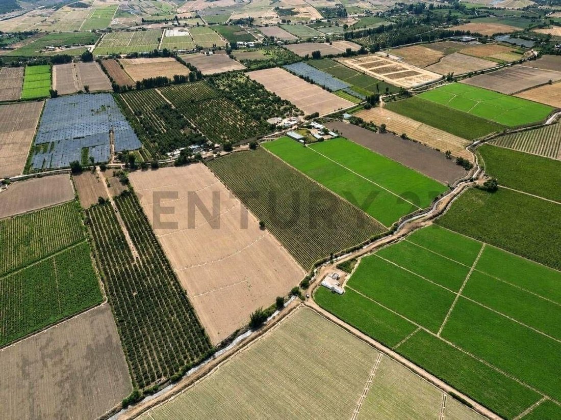 Land in Huaral, Belarus 1 - 18326053