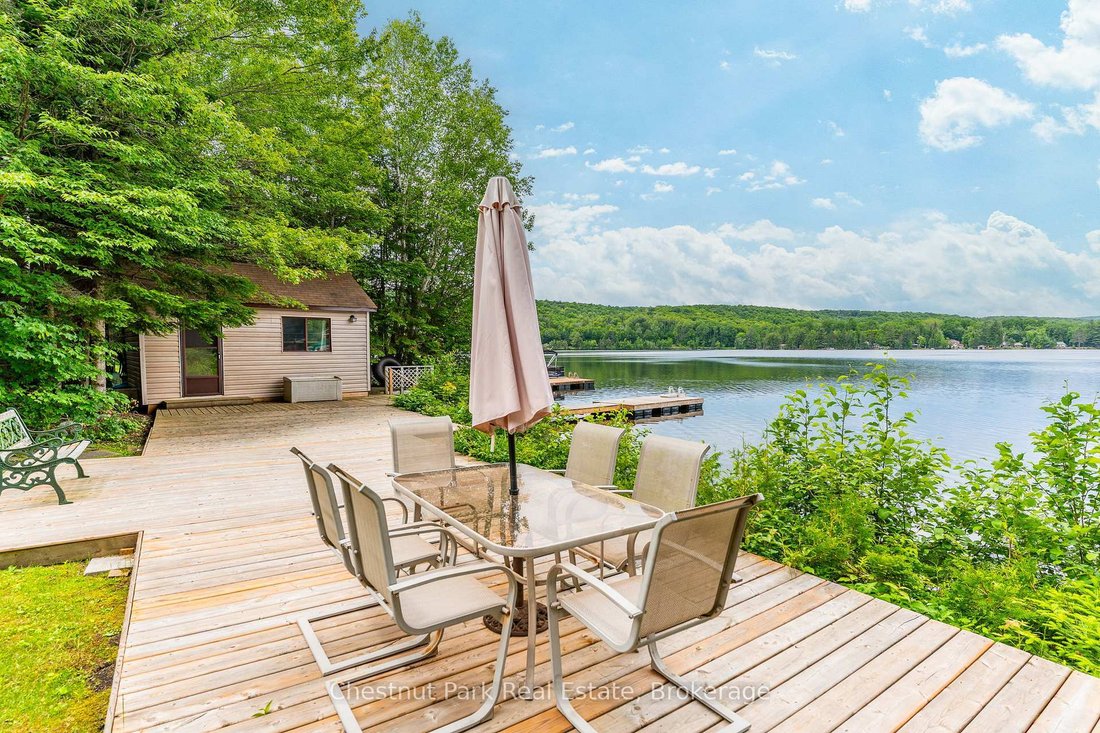 House in Haliburton, Ontario, Canada 5 - 18325400