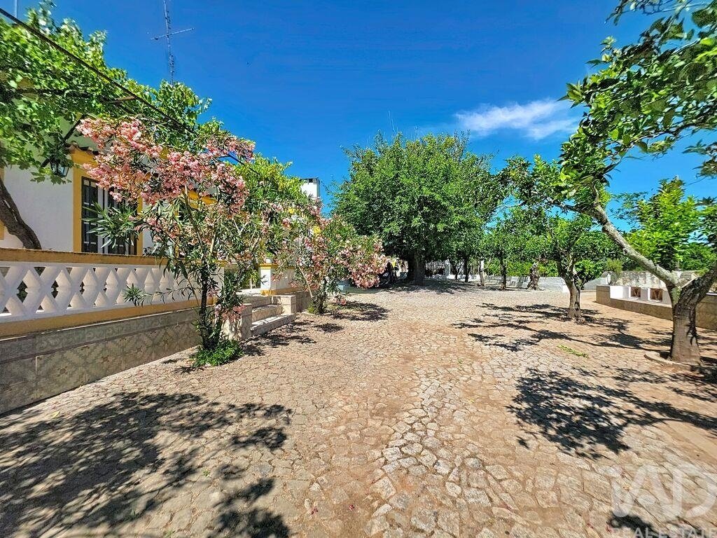 Farm Ranch in Assuncao, Ajuda, Salvador e Santo Ildefonso, Portalegre District, Portugal 1 - 18326321