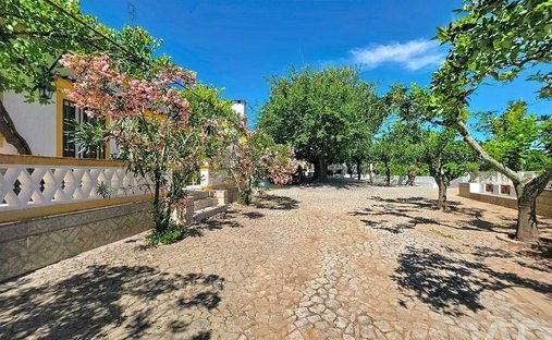 Azienda agricola a Assuncao, Ajuda, Salvador e Santo Ildefonso, Distretto di Portalegre, Portogallo 1