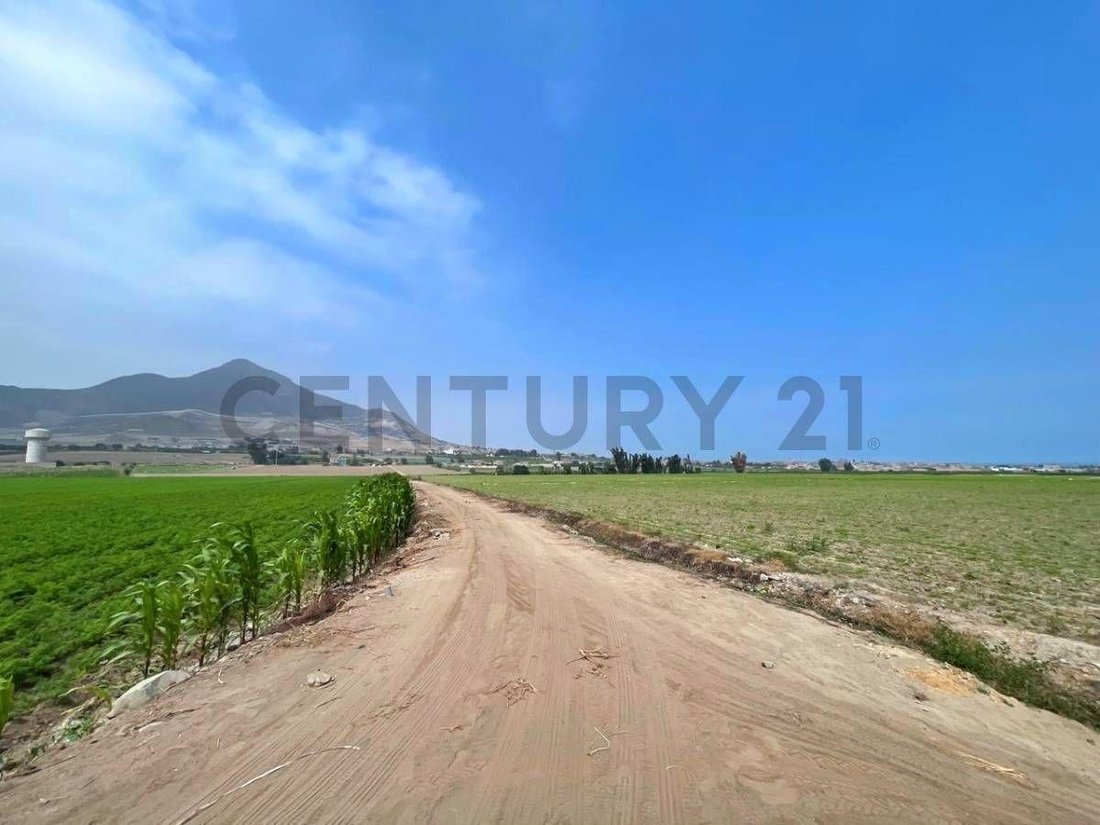 Land in Huaral, Belarus 5 - 18326053