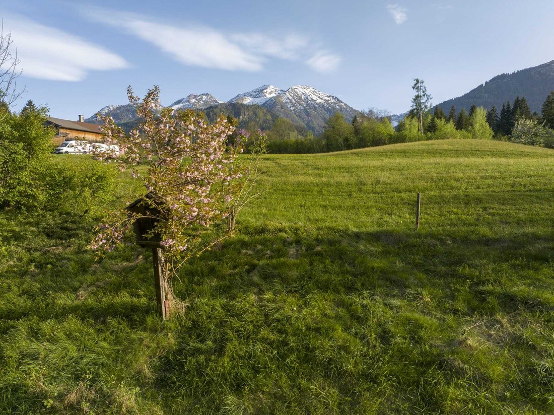 Land in Fieberbrunn, Tyrol, Austria 3 - 13794492
