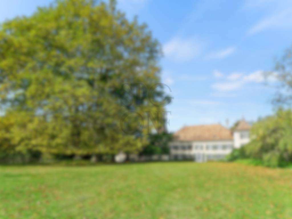 Villa in Morges, Vaud, Switzerland 4 - 18325752