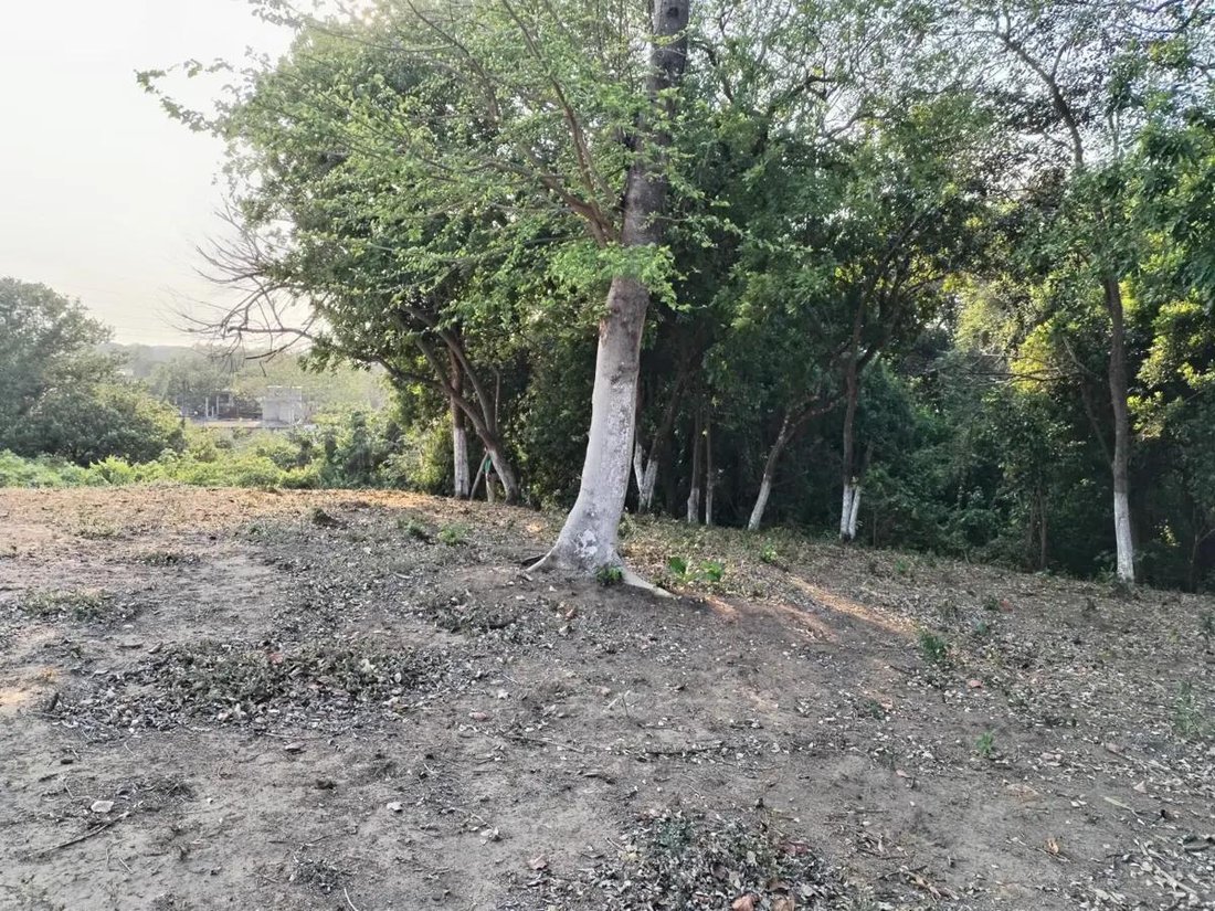 Land in El Tejar, Veracruz, Mexico 4 - 18326088