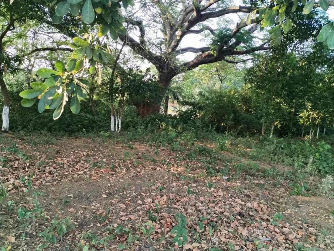 Land in El Tejar, Veracruz, Mexico 3 - 18326088