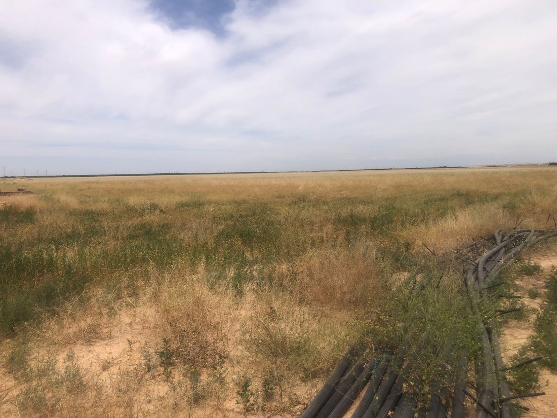 Terrain à Albacete, Castille-La Manche, Espagne 2 - 18326229