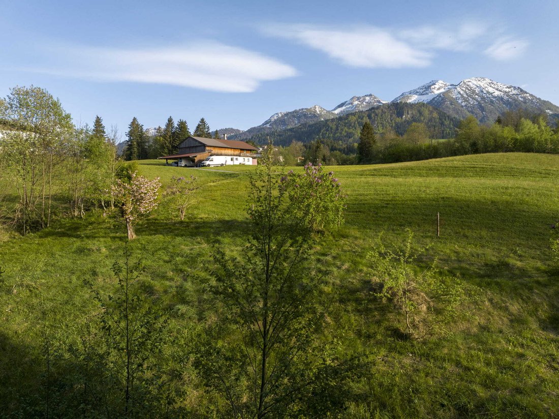 Land in Fieberbrunn, Tyrol, Austria 5 - 13794492