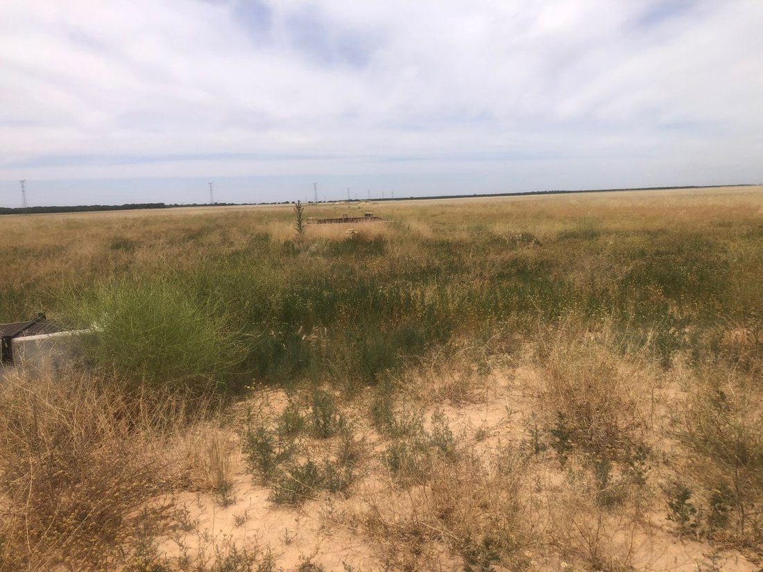 Terrain à Albacete, Castille-La Manche, Espagne 5 - 18326229