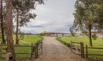 House in Balneario Buenos Aires, Maldonado Department, Uruguay 2