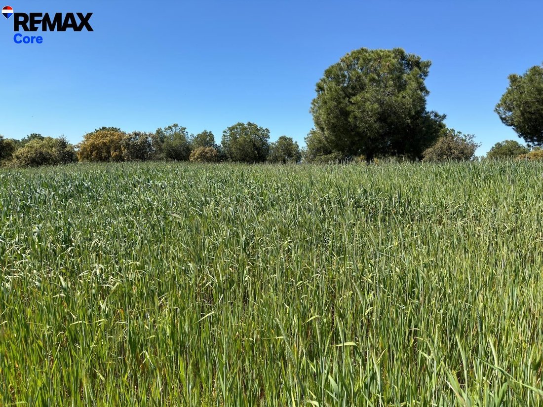 Land in Valencia de las Torres, Extremadura, Spain 4 - 18325786