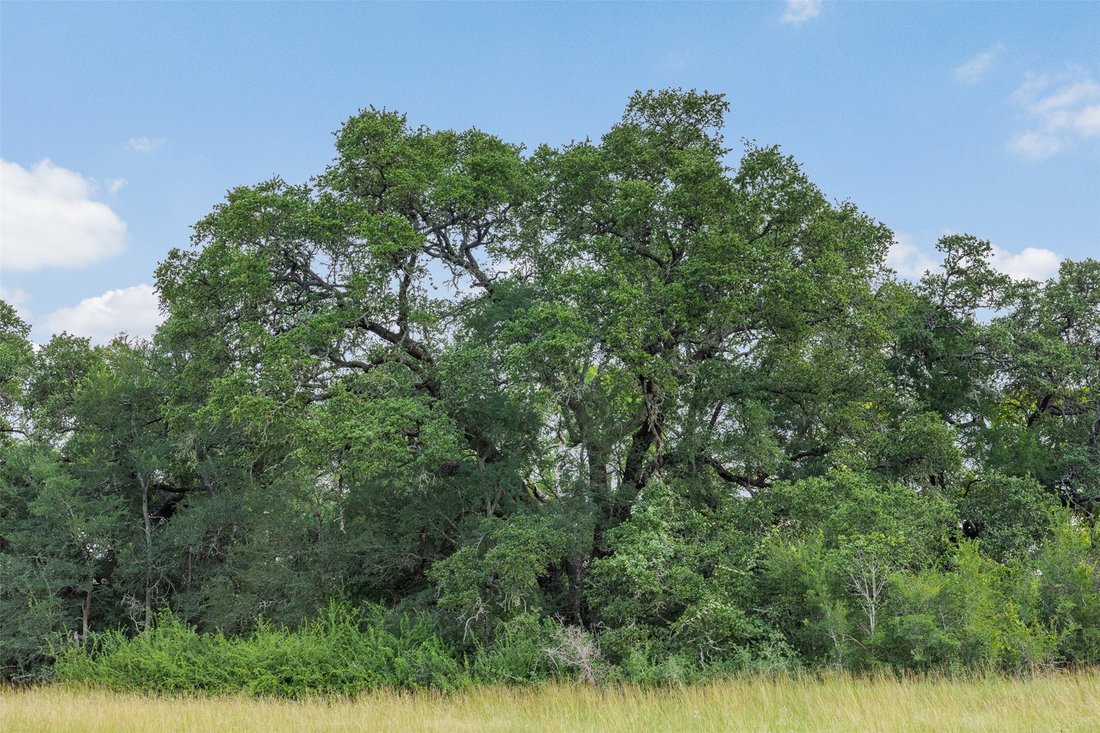 Land in Round Top, Texas, United States 4 - 18325822