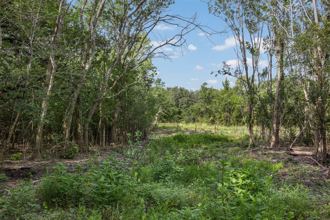 Land in Round Top, Texas, United States 2 - 18325822