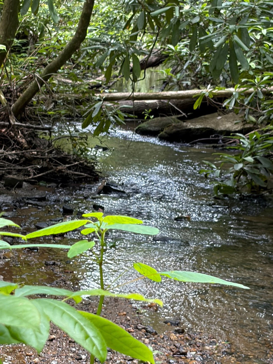 Land in Turtletown, Tennessee, United States 4 - 18325826