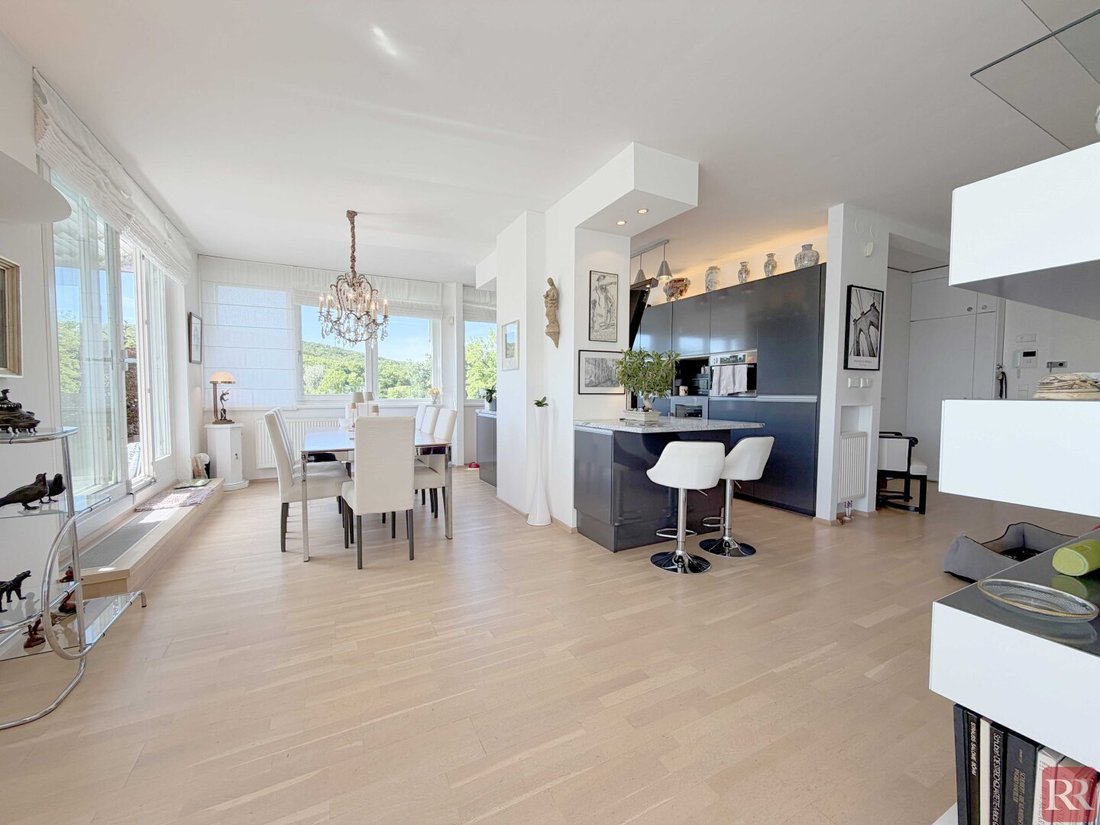 Penthouse in Vienna, Wien, Austria 4 - 18325973