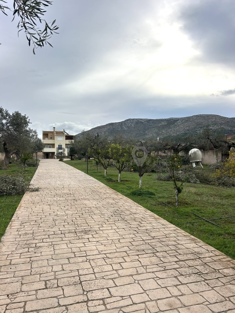 Villa in Kalyvia Thorikou, Attica, Greece 4 - 18326206