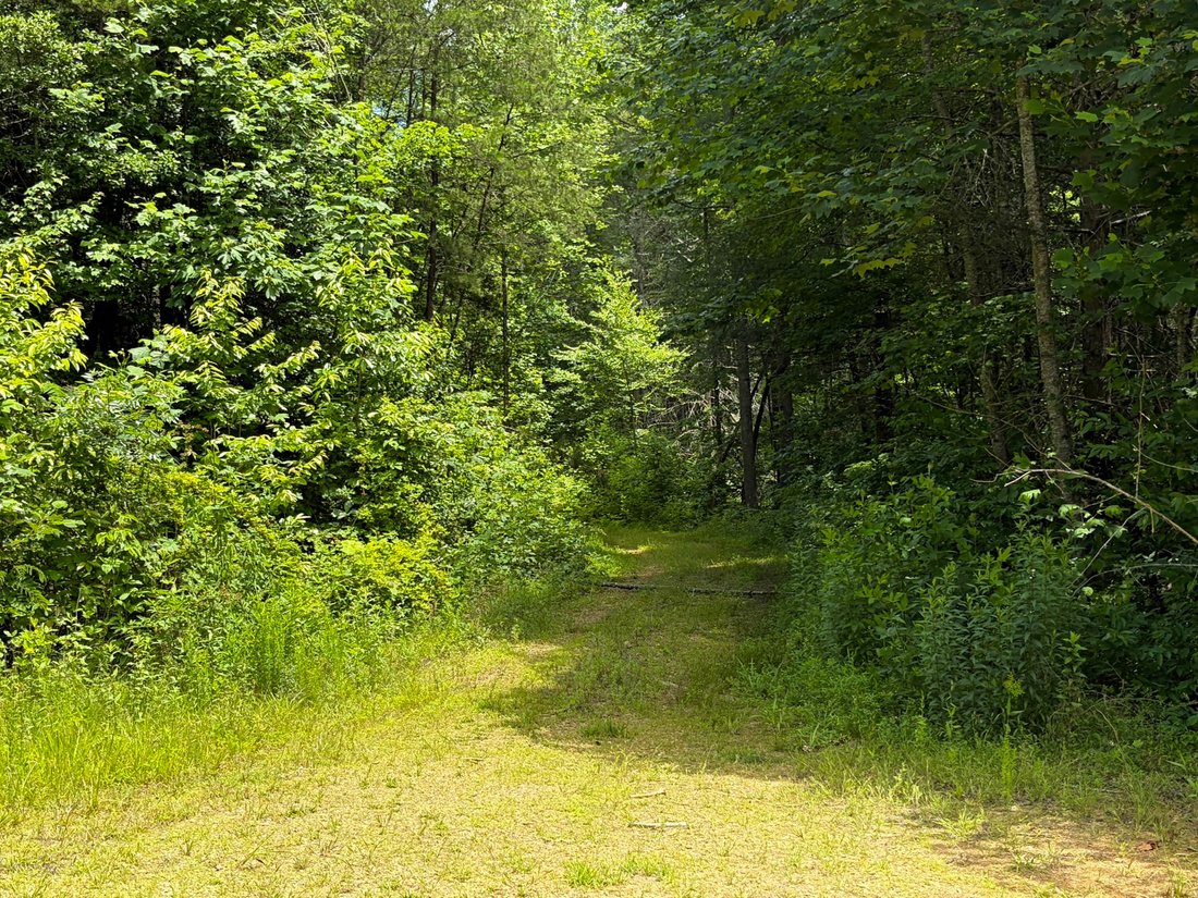 Land in Turtletown, Tennessee, United States 5 - 18325826