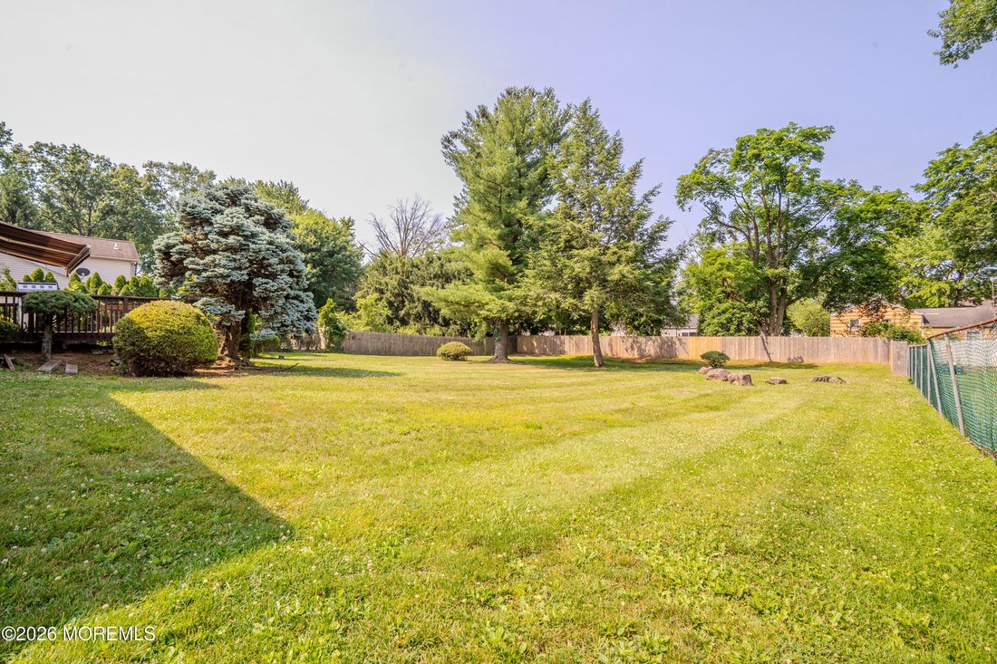 South Plainfield, New Jersey, United States 4 - 18325812