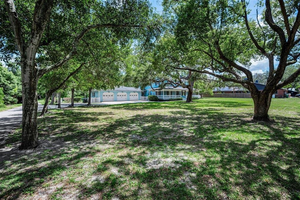 House in Safety Harbor, Florida, United States 4 - 18326419
