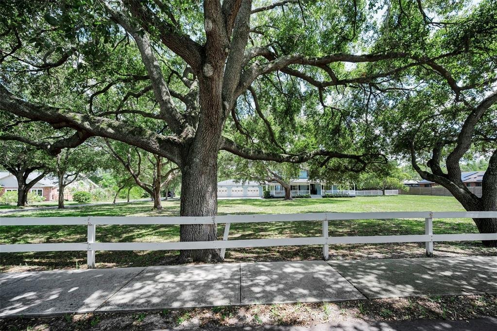 House in Safety Harbor, Florida, United States 5 - 18326419