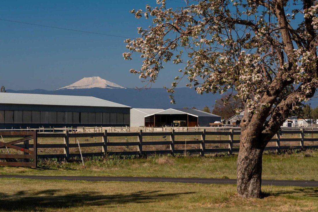 House in Bend, Oregon, United States 5 - 17821943