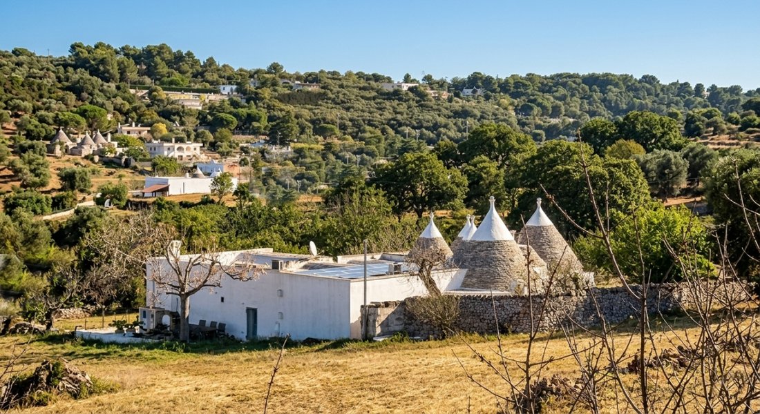 House in Selva di Fasano - Laureto, Selva di Fasano, Apulia 2 - 18332023