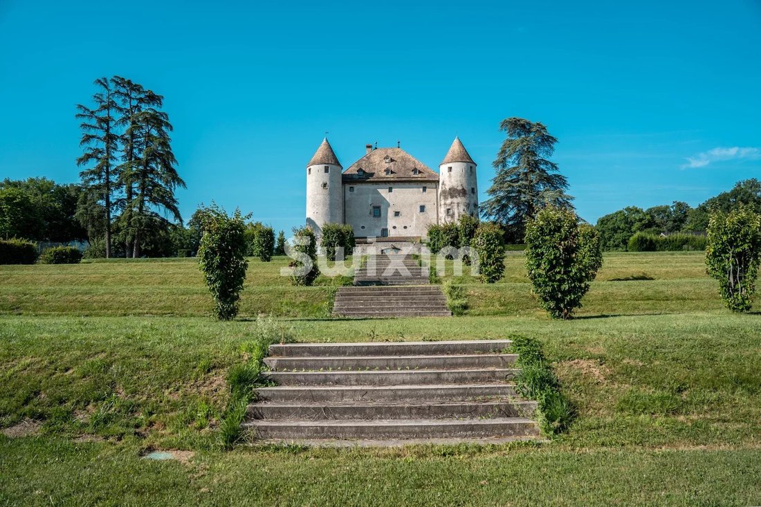 Castle in Lully, Auvergne-Rhône-Alpes, France 3 - 18328243