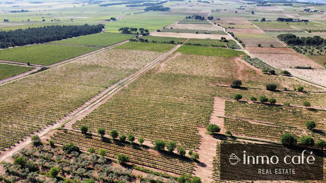 Fontanars dels Alforins, Valencian Community, Spain 5 - 18028073