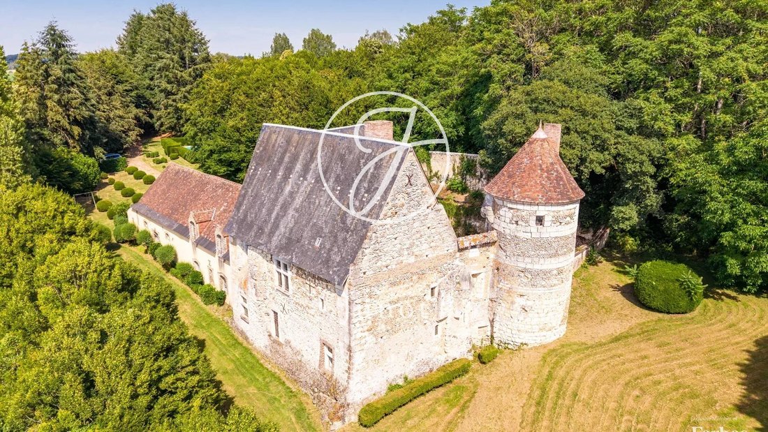 Castillo en Bonneveau, Centro-Val de Loira, Francia 1 - 17534021