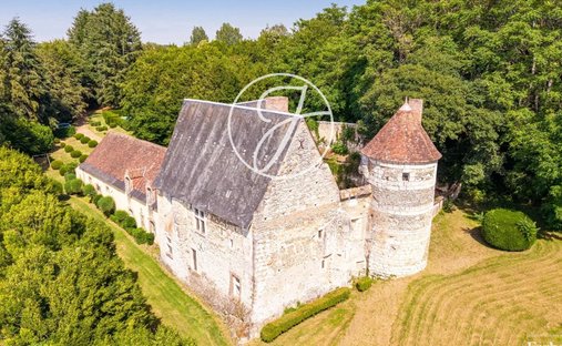 Castle in Bonneveau, Centre-Val de Loire, France 1
