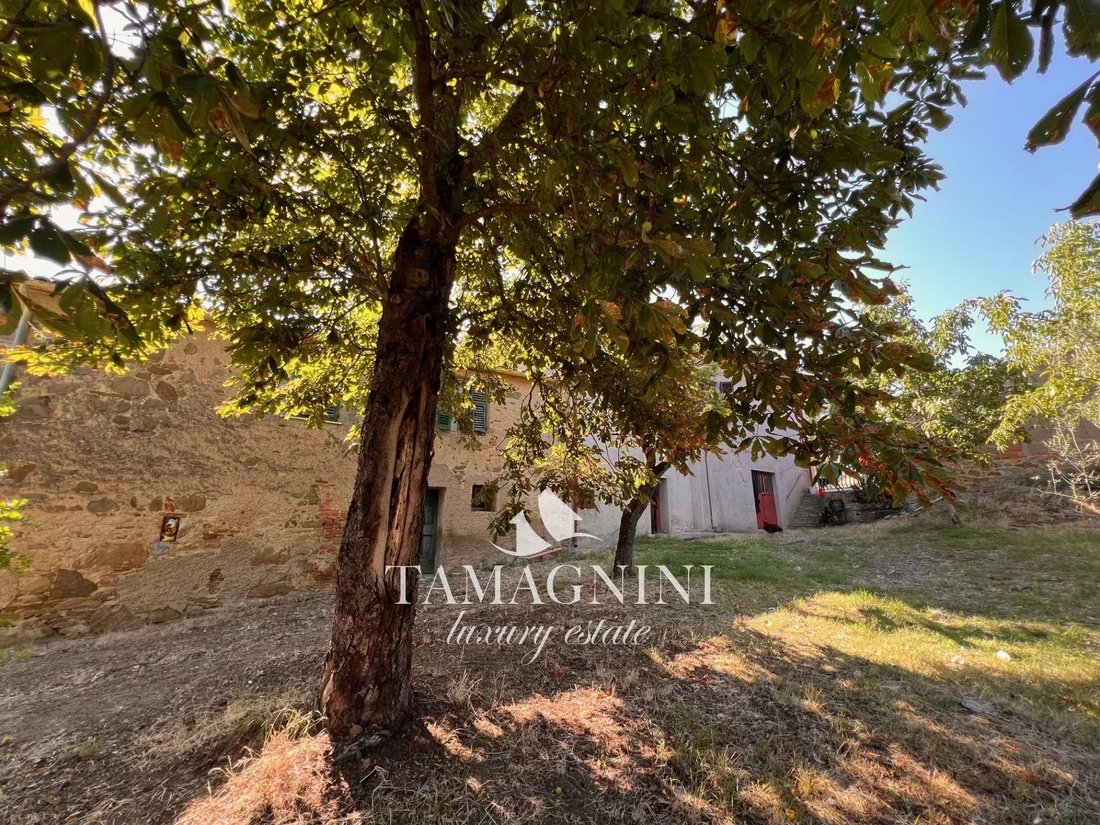 Casa en Città della Pieve, Umbría, Italia 2 - 16131117