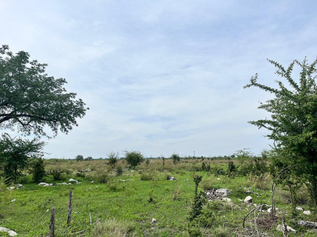 Tsumeb, Oshana Region, Namibia 5 - 18327130