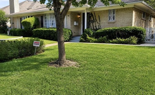 House in Dallas, Texas, United States 1