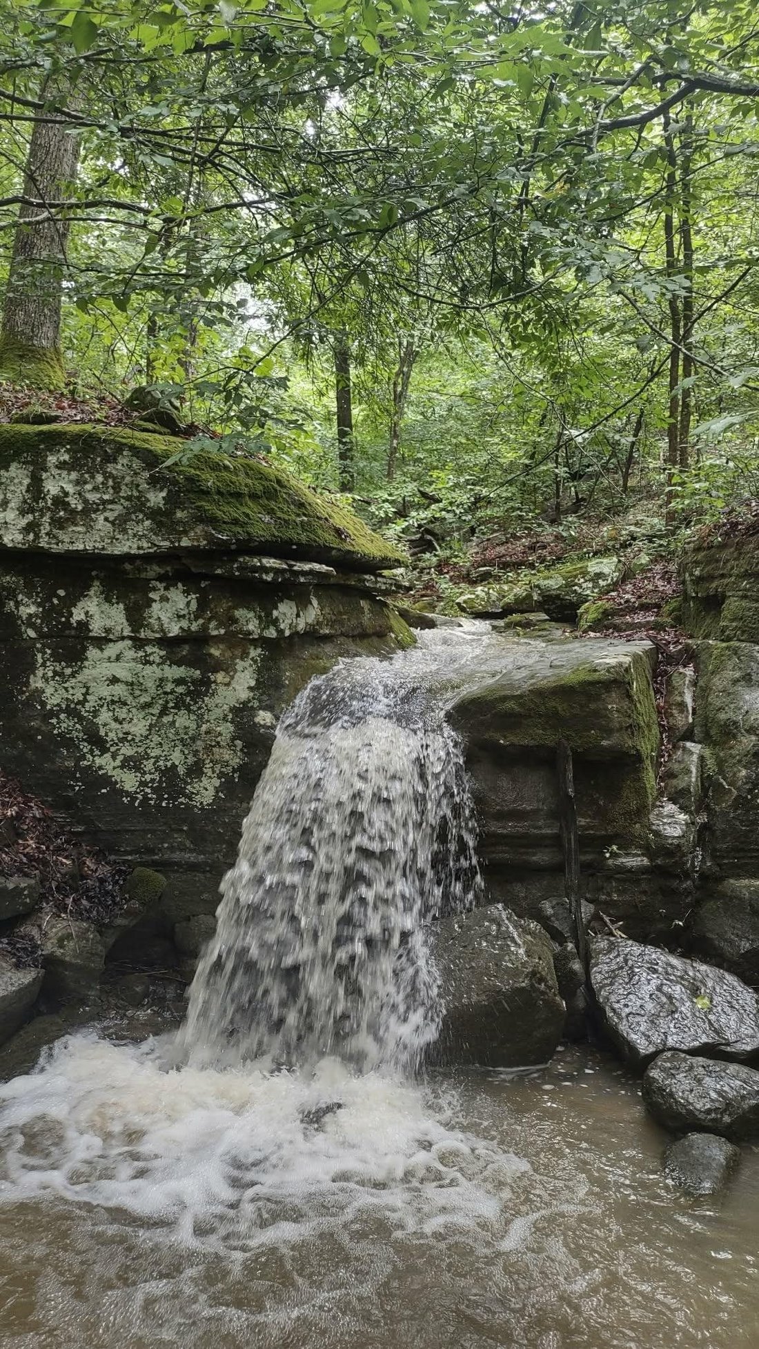 Land in Melbourne, Arkansas, United States 5 - 18176248
