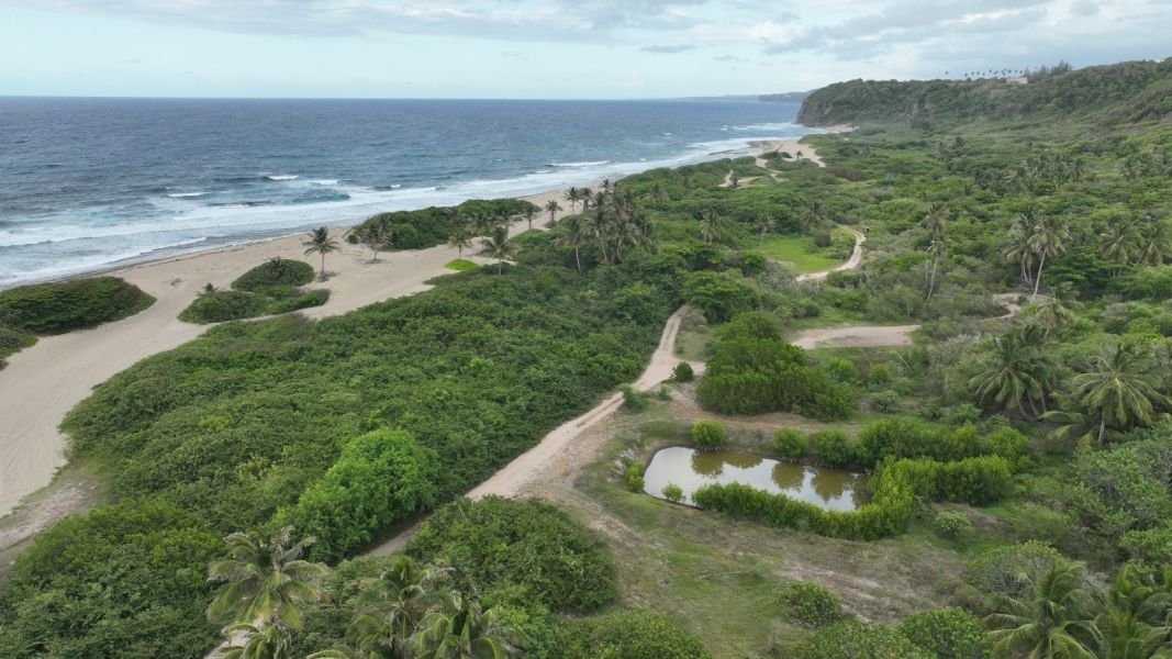 Land in Isabela, Isabela, Puerto Rico 3 - 18330116