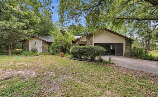 House in South Brooksville, Florida, United States 1