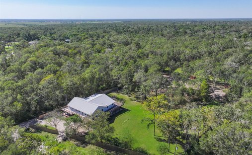 House in Alvin, Texas, United States 1