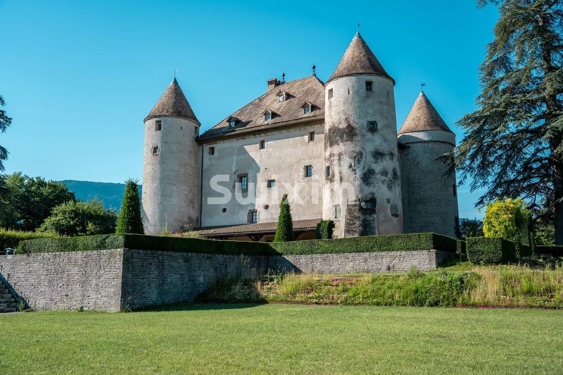 Castle in Lully, Auvergne-Rhône-Alpes, France 1 - 18328243